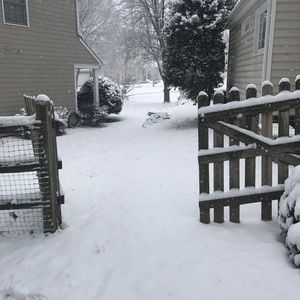 Meet your Posher, Crystal